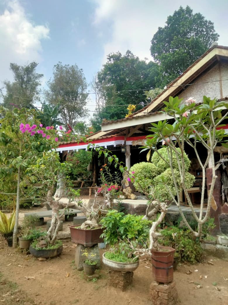 Saung Oyot